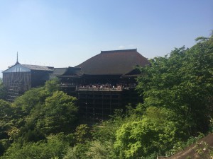 IMG_5982