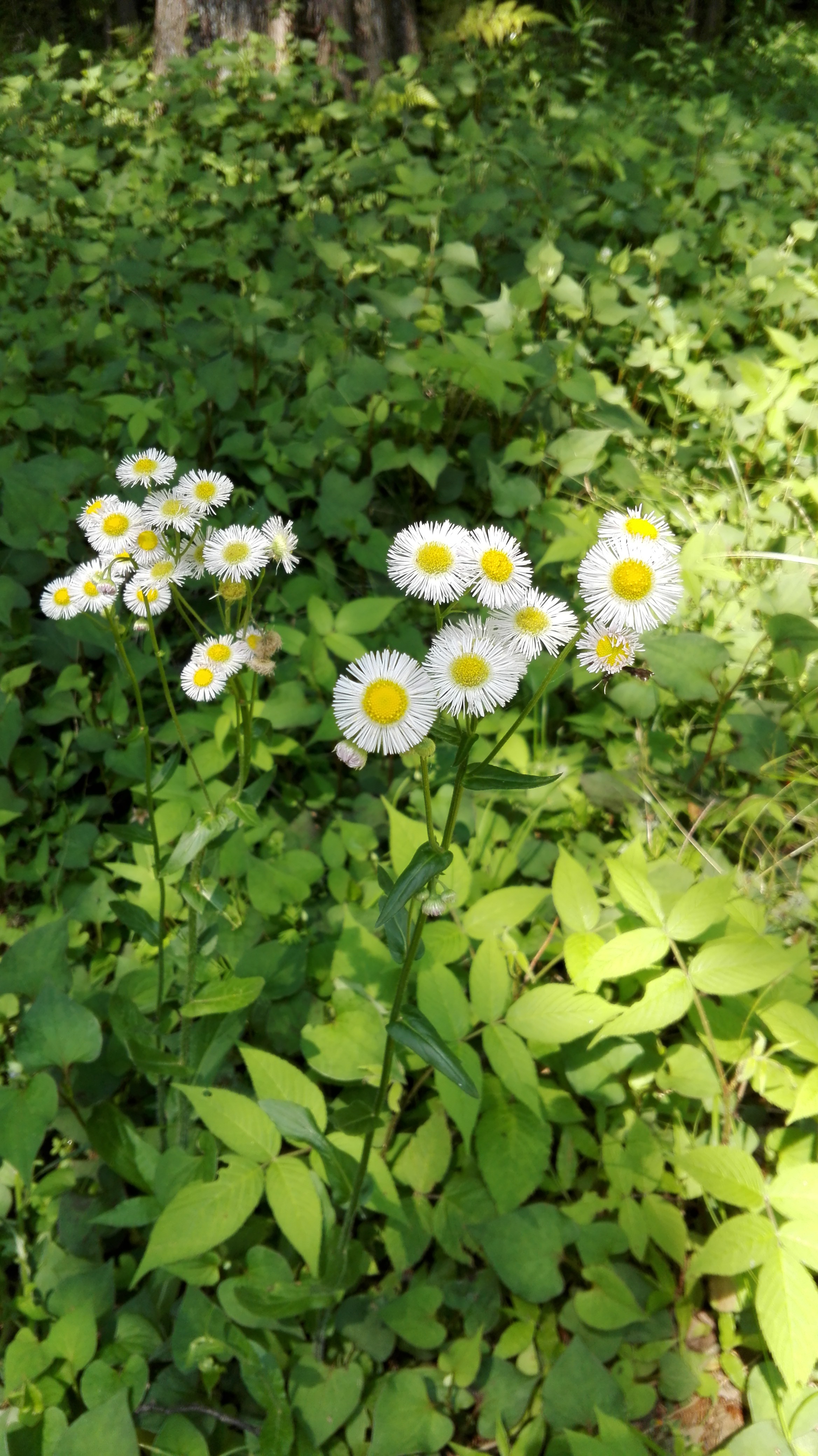 IMG_20160522_101241