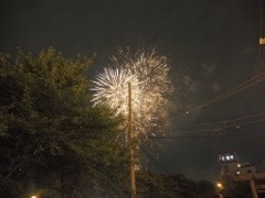 20160730-232924.jpg