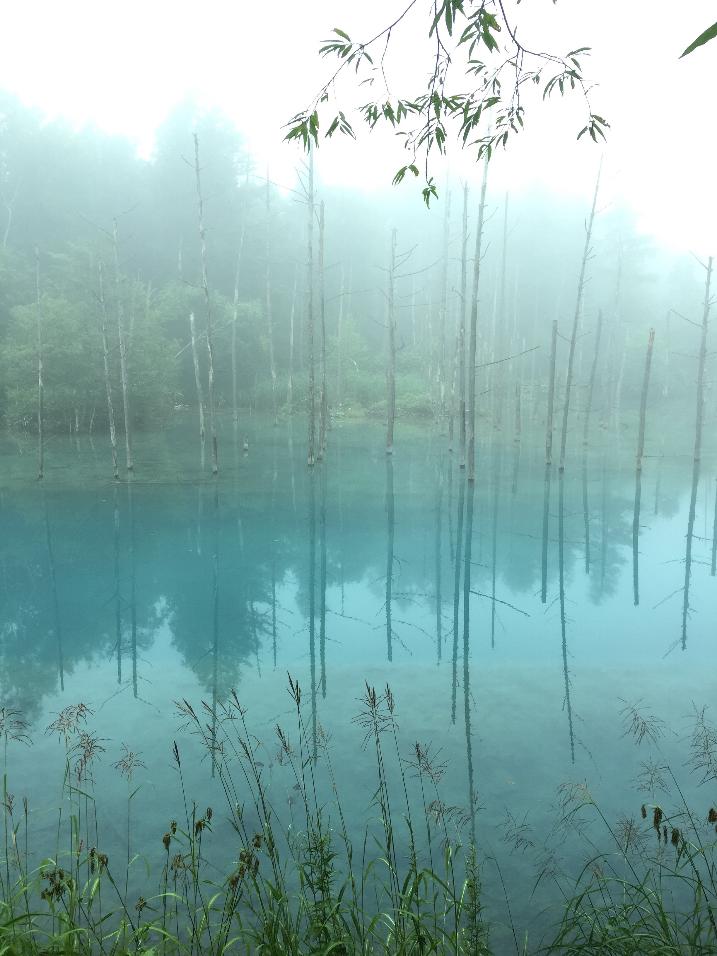 20160911-090212.jpg