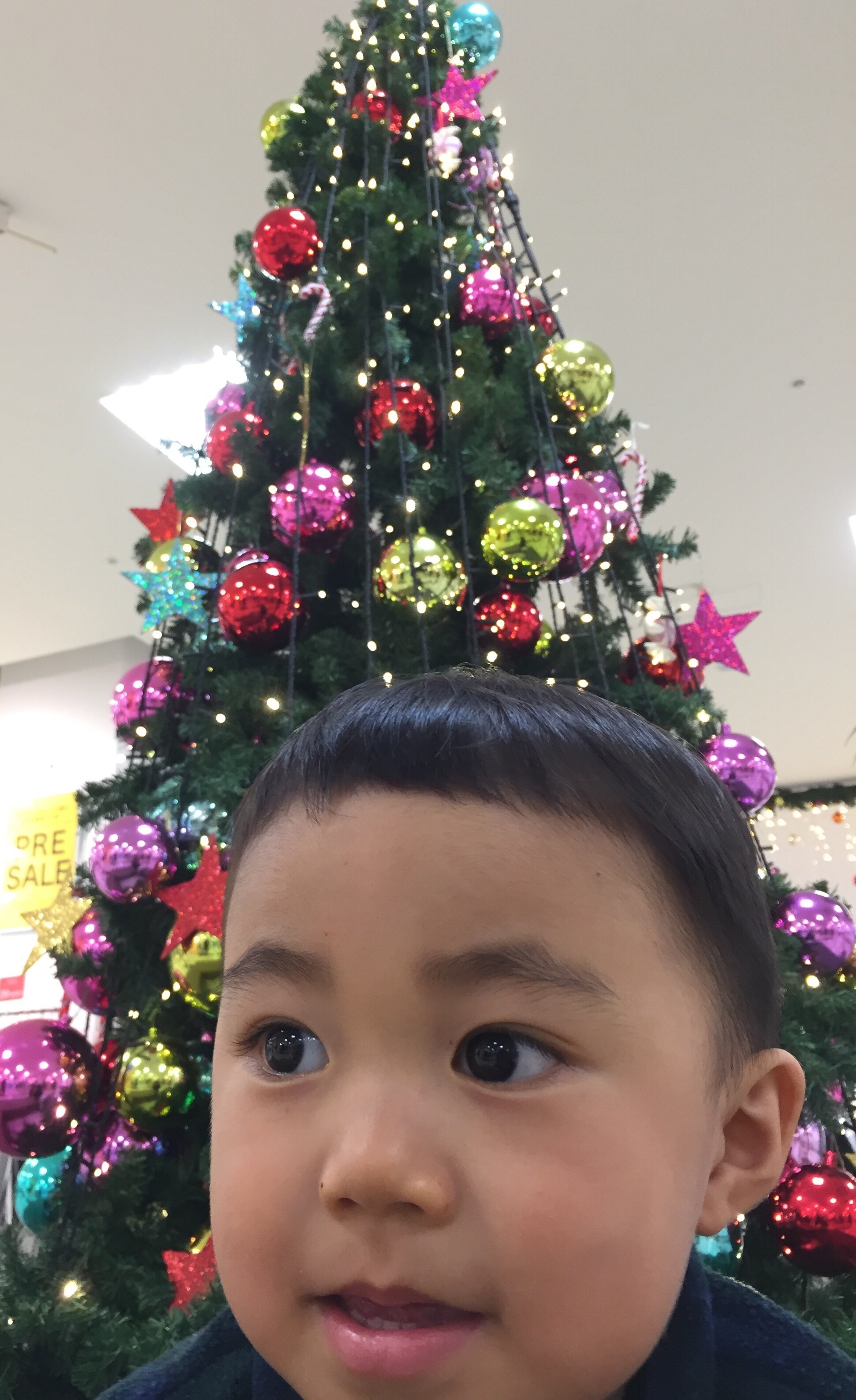20161225-201116.jpg