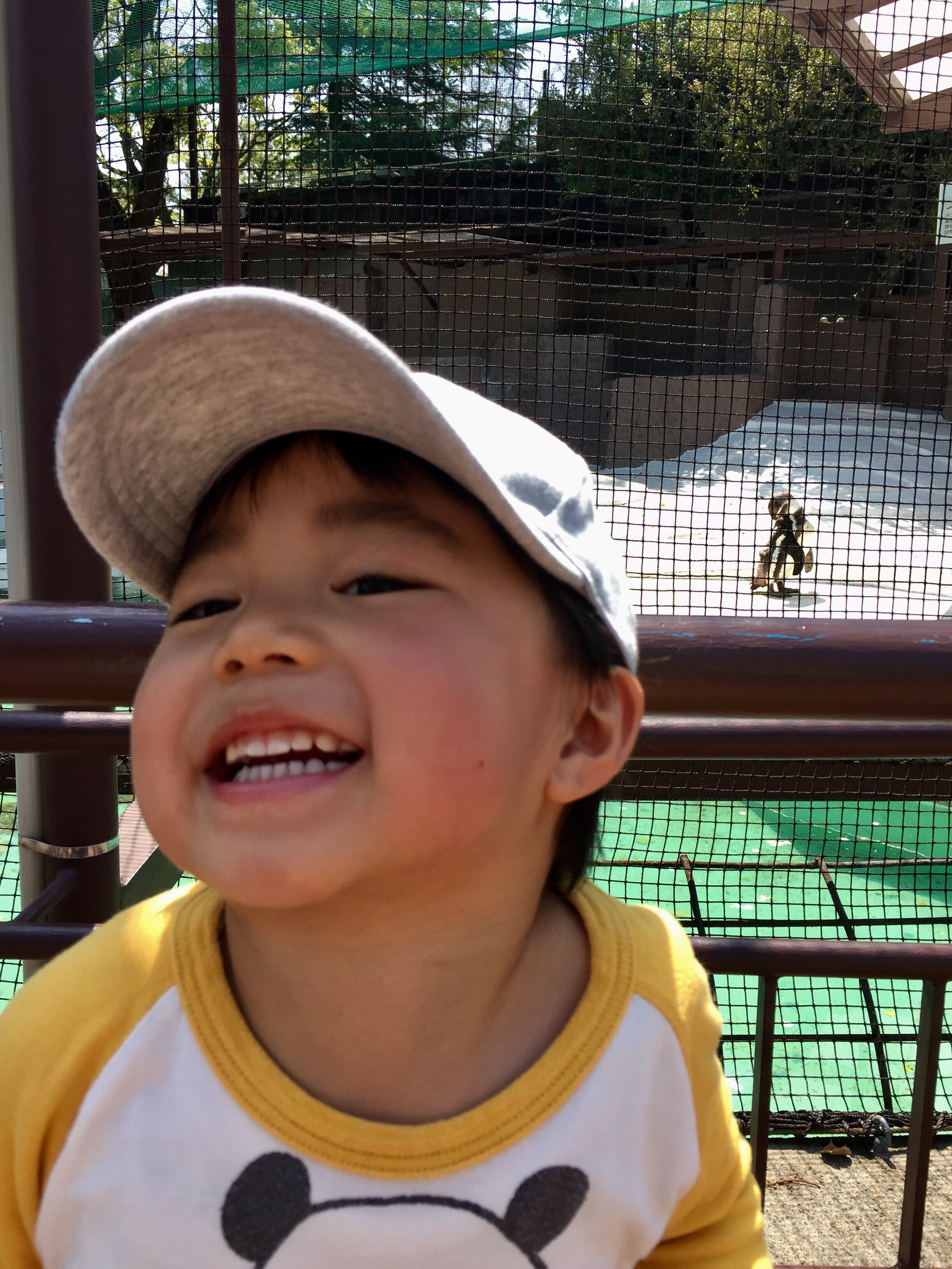 20170420-184155.jpg