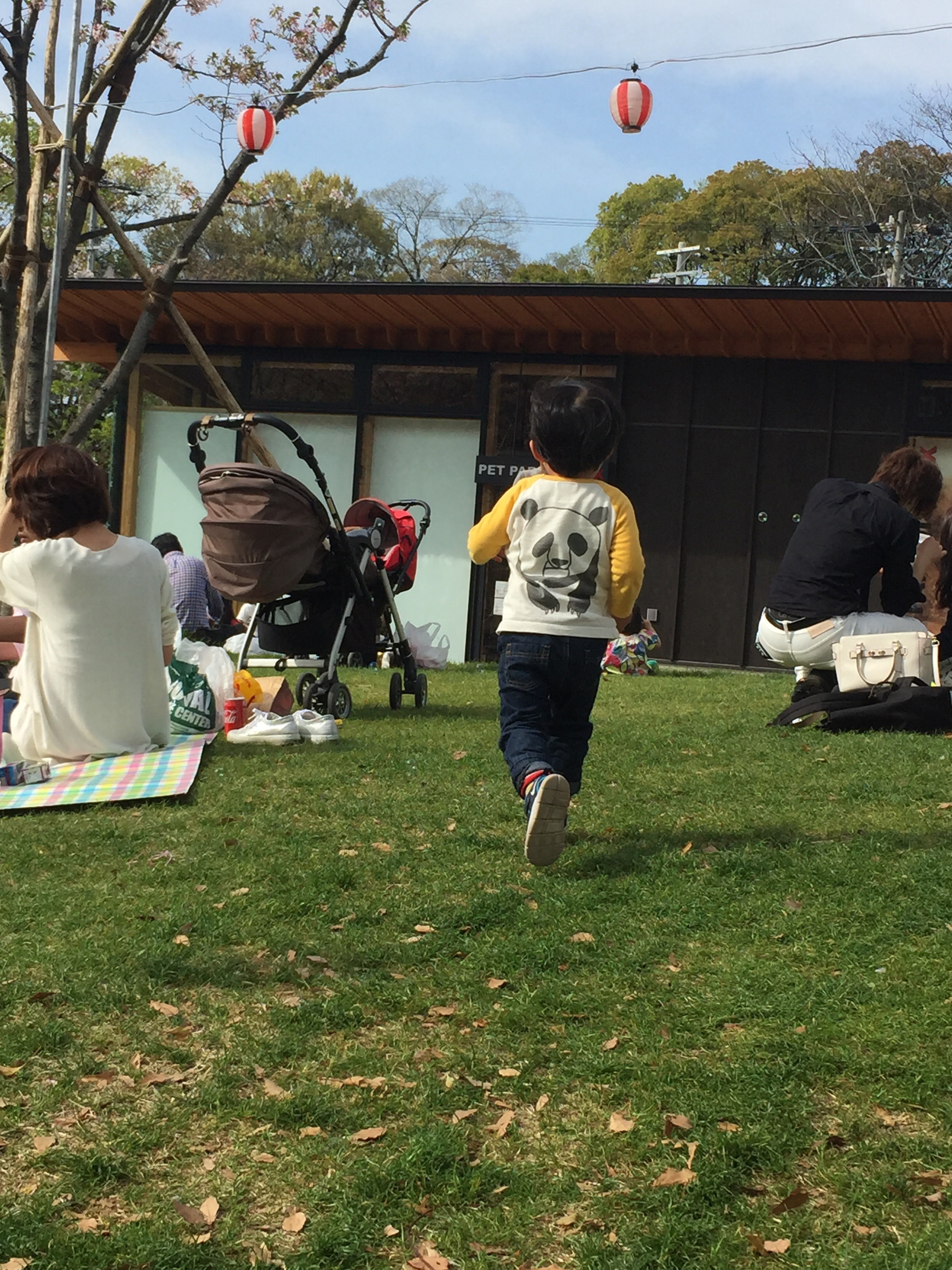 20170420-184522.jpg