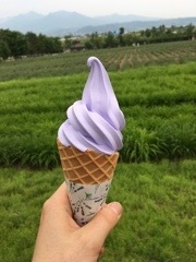 20170624-220929.jpg